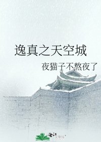 逸真之天空城