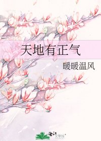《天地有正氣》