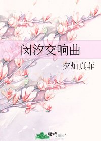 《闵汐交响曲》