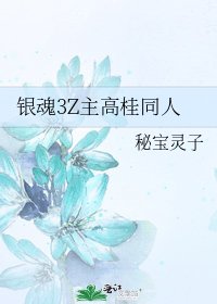 《银魂3Z主高桂同人》