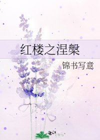红楼之涅槃