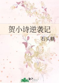 《贺小诗逆袭记》