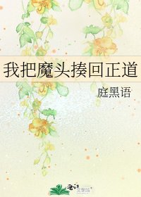 《我把魔头揍回正道》