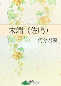 《末端(佐鸣)》