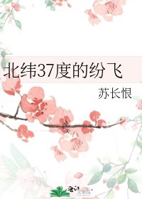 《北纬37度的纷飞》