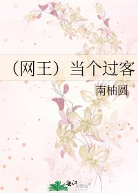 《(网王)当个过客》