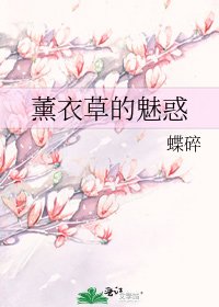 《薰衣草的魅惑》