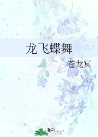 《龙飞蝶舞》