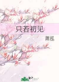《只若初见》