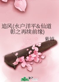 《追風(水户洋平&仙道彰之再續前緣)》