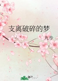 《支离破碎的梦》