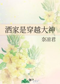 《洒家是穿越大神》