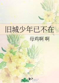 《旧城少年已不在》
