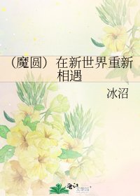《(魔圆)在新世界重新相遇》