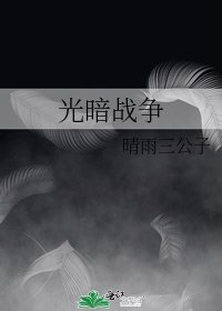 《光暗战争》