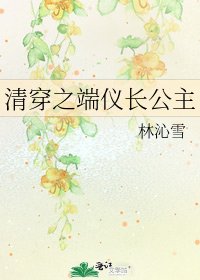 《清穿之端仪长公主》