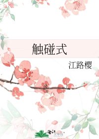 《触碰式》