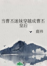 《当曹丕迷妹穿越成曹丕皇后》