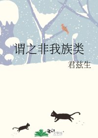 《谓之非我族类》