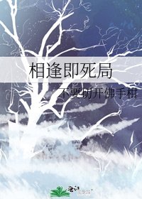 《相逢即死局》