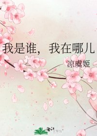 《我是谁,我在哪儿》