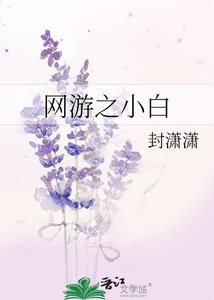 《网游之小白》