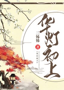 《花灯初上》
