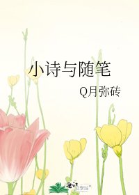 《小诗与随笔》