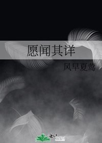 《愿闻其详》