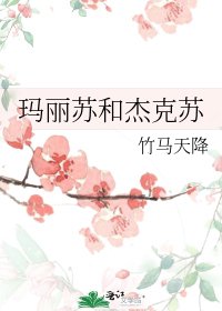 《玛丽苏和杰克苏》