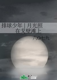 《排球少年 | 月光照在戈壁滩上》