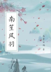 《南笙风羽》