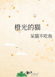 《橙光的猫》