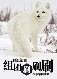(综琼瑶同人/BL)综琼瑶之组团刷刷刷